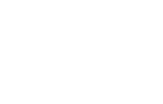 Wildgate